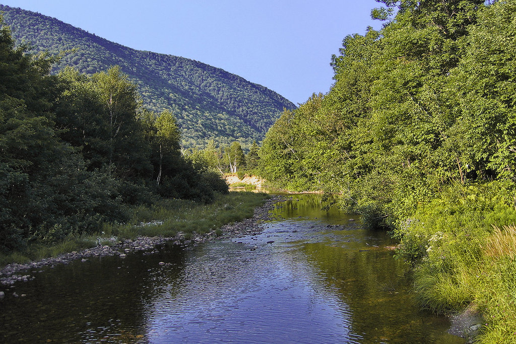 Cape Breton Glen