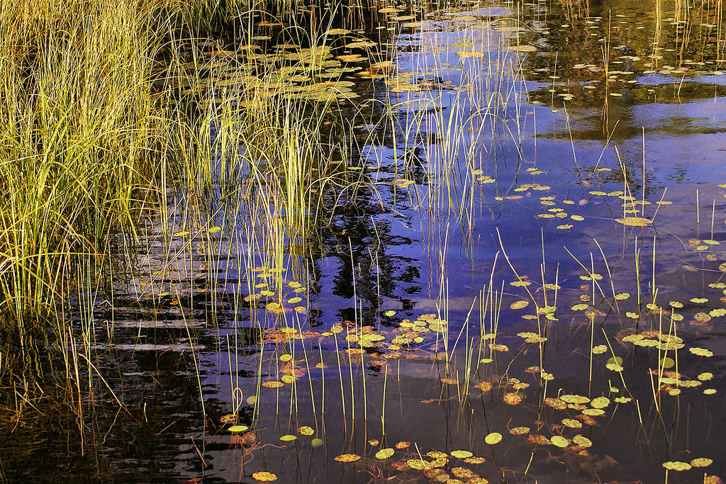 At the End of Day – Petit Lac Long, Lantier, Québec