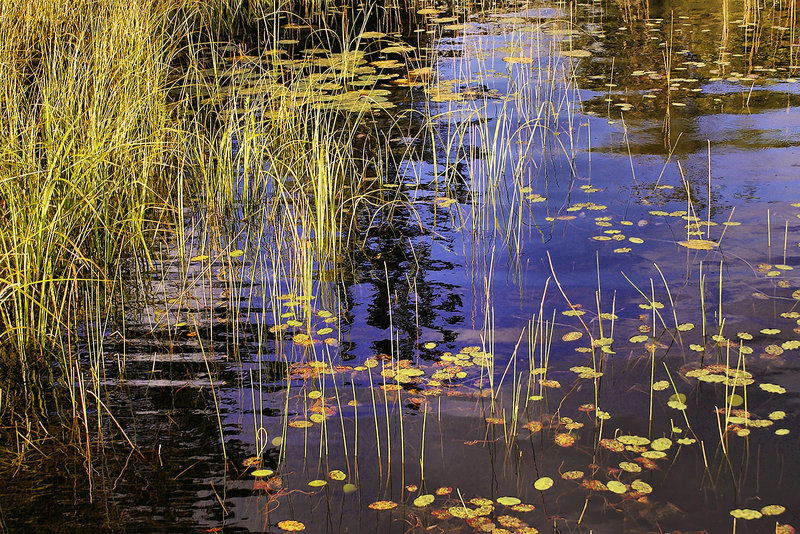 At the End of Day – Petit Lac Long, Lantier, Québec