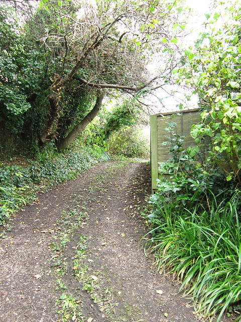 The middle driveway is clearing