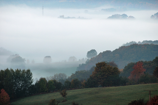 Odenwald - 121022 0807