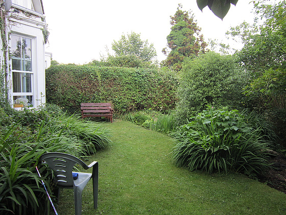 This top lawn is getting rather overgrown