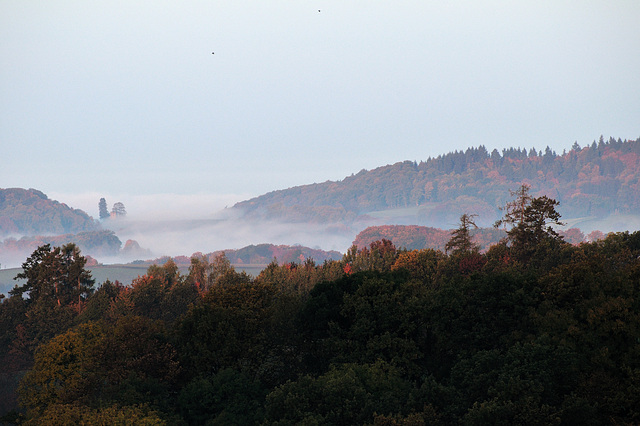 Odenwald - 121022 0815