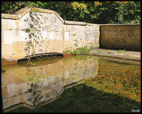 la source st romain