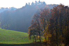 Herbstspaziergang - 121117