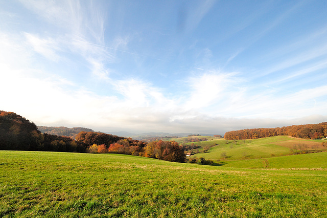 Herbstspaziergang - 121117