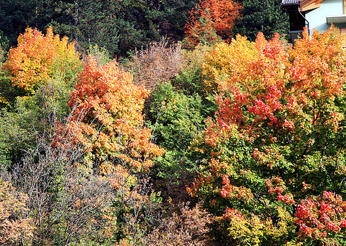 Herbstfarben