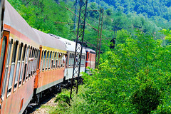 Bulgarian Train