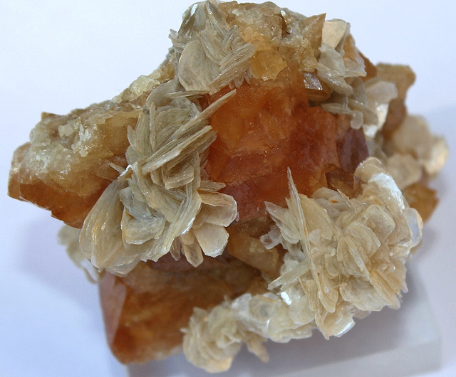 Scheelite et muscovite Scheelite et muscovite