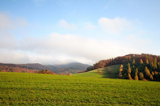 Herbstspaziergang - 121117