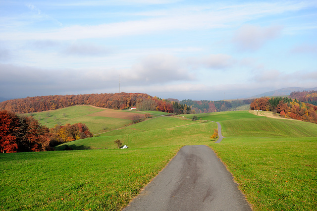 Herbstspaziergang - 121117