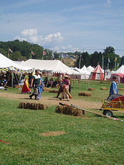 pennsic 105