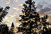 Ar-Boreal Sunset – Ottawa, Ontario