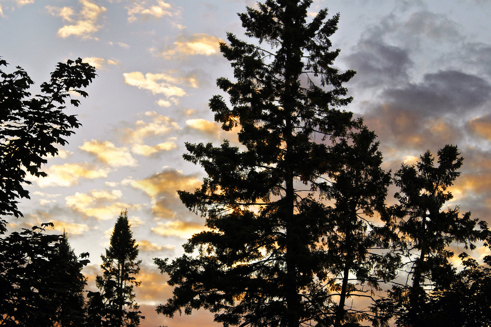 Ar-Boreal Sunset – Ottawa, Ontario