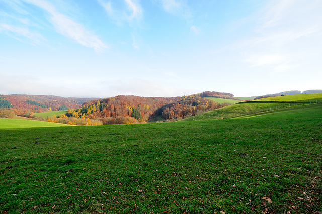 Herbstspaziergang - 121117