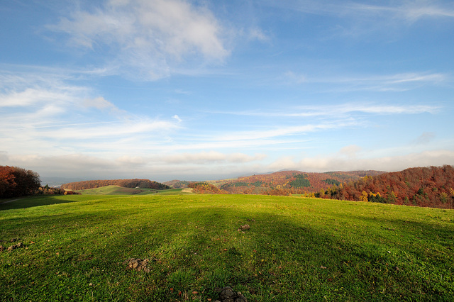 Herbstspaziergang - 121117