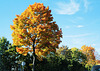 Farben am Straßenrand