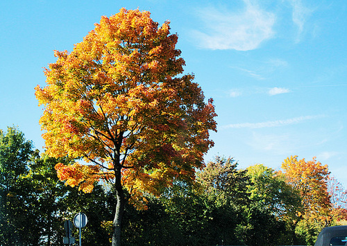 Farben am Straßenrand