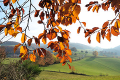 Herbstspaziergang - 121117