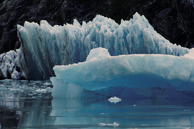 Day 7: Tracy Arm  Icebergs