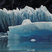 Day 7: Tracy Arm  Icebergs