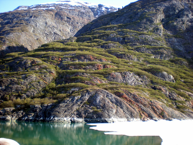 Day 7: Terracing in Tracy Arm