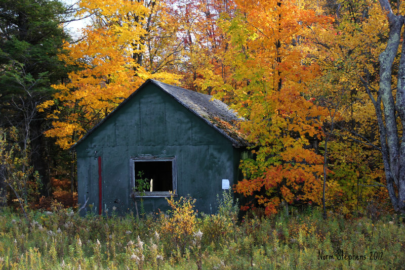 Fall Love Shack