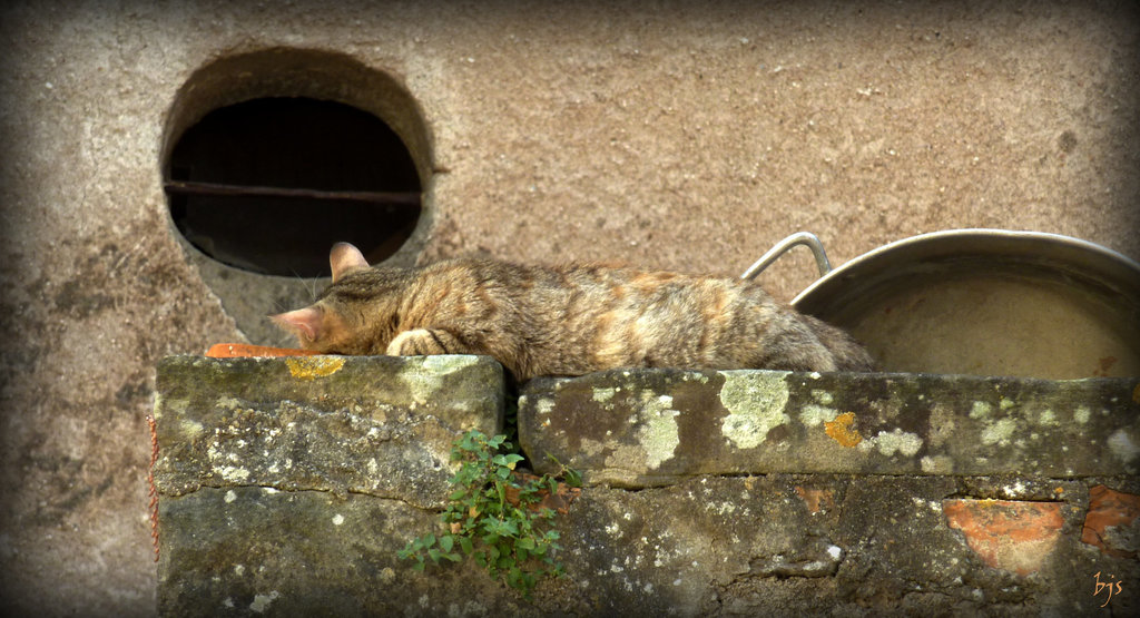 c'est l'heure de la sieste à Ceilhes