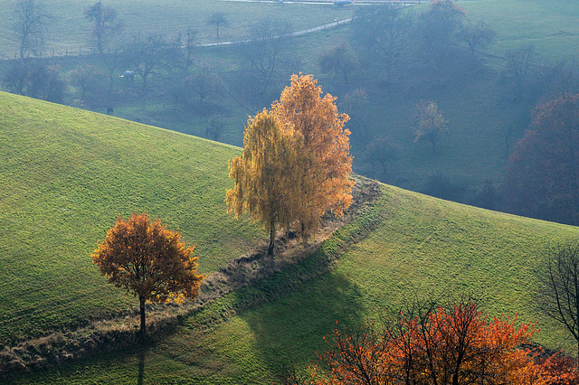 Herbstspaziergang - 121117