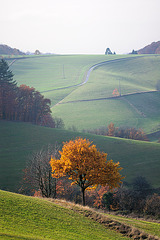 Herbstspaziergang - 121117