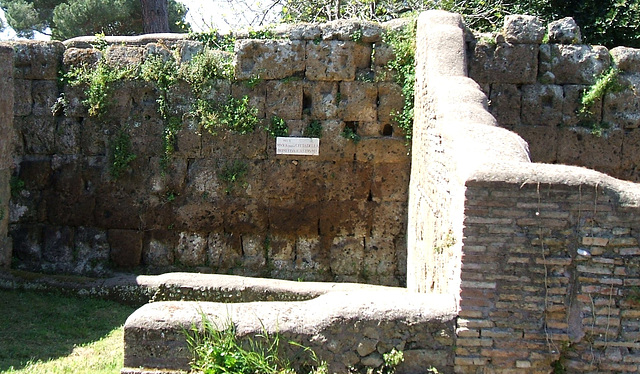 Castrum Walls