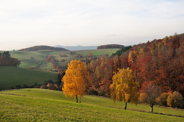 Herbstspaziergang - 121117