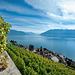 Coup d'oeil sur le lac Léman...