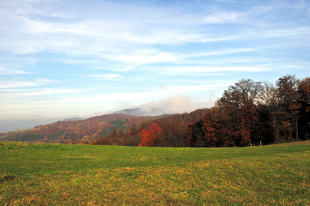 Herbstspaziergang - 121117