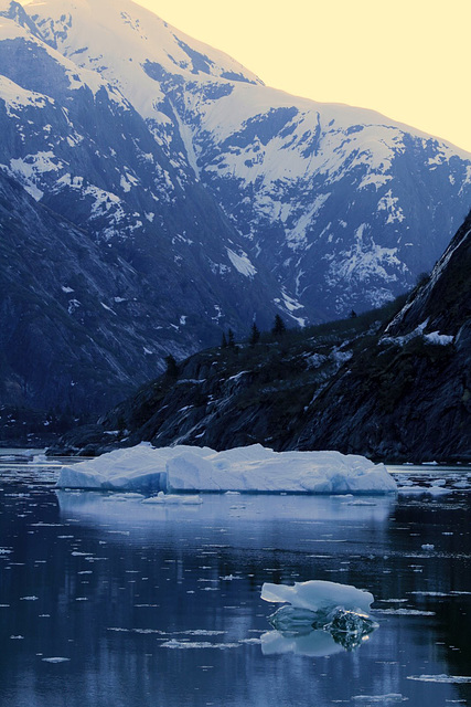 Day 7: Tracy Arm