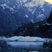 Day 7: Tracy Arm