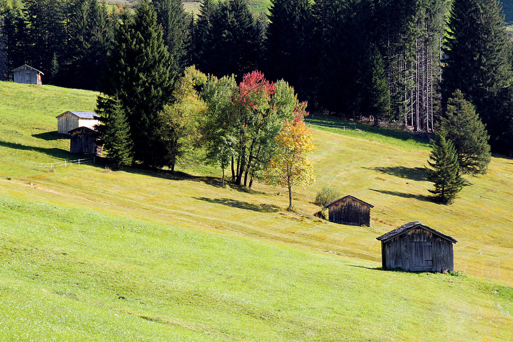 Herbst auf den Almwiesen