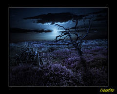 Dunwich Heath By Moonlight