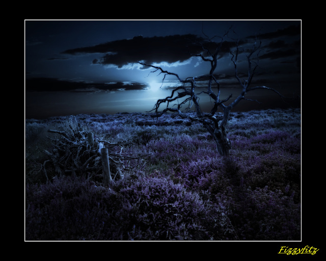 Dunwich Heath By Moonlight Dunwich Heath By Moonlight