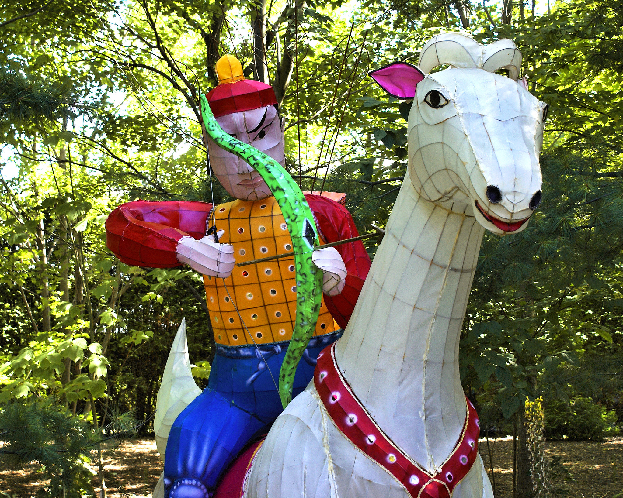 Chinese Archer – Montreal Botanical Garden