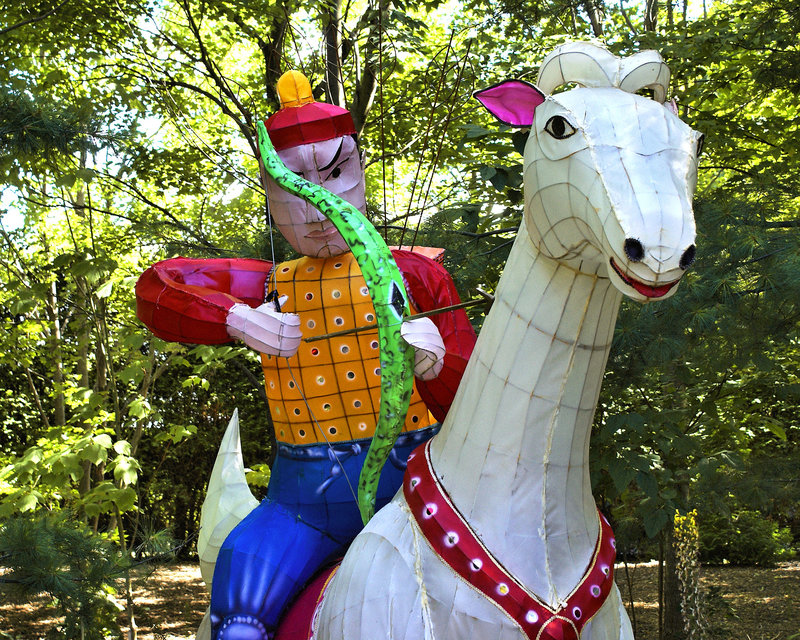 Chinese Archer – Montreal Botanical Garden