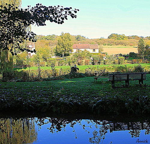 en bordure d'étang