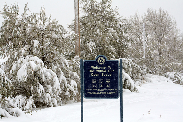 Willow Run Open Space