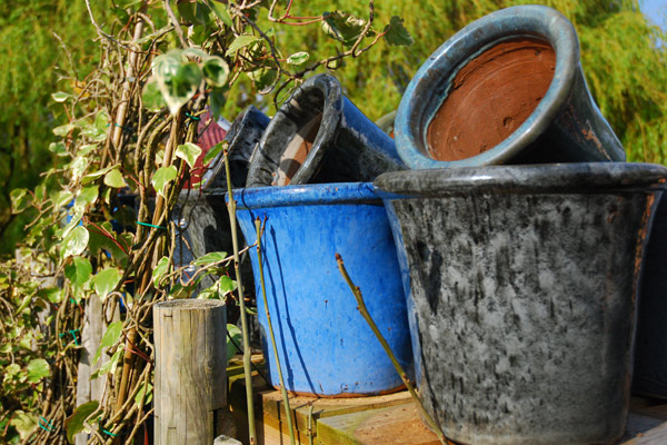 Empty pots