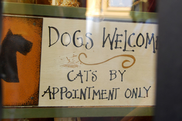 Cats by appointment