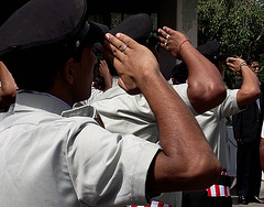 Saluting