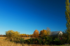 Les beautés de l'automne