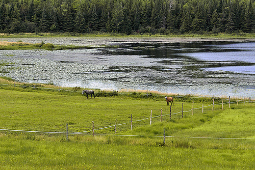 George Pond – South Bolton, Québec