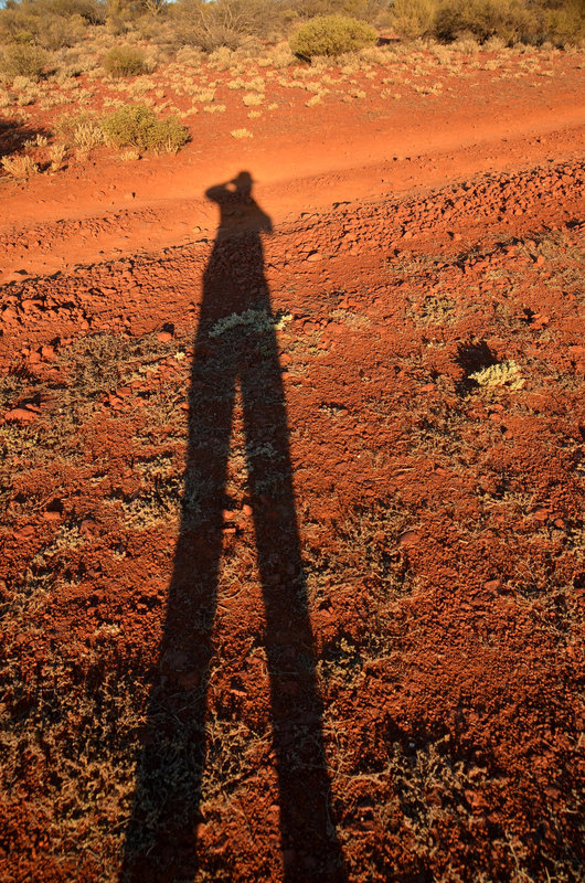 Sunset giant