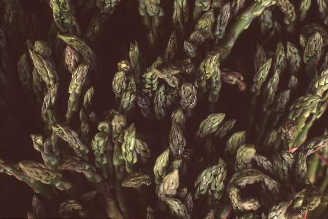 Ominous asparagus